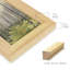 Delicate Forest II - reproduction de cadre photo simple-90582802-90582812