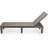 Brooksley Outdoor Chaise Lounge-1782776035