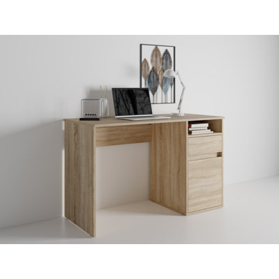 Raymen Desk with drawer and door: 120cm W x 75.5cm H x 53cm D.