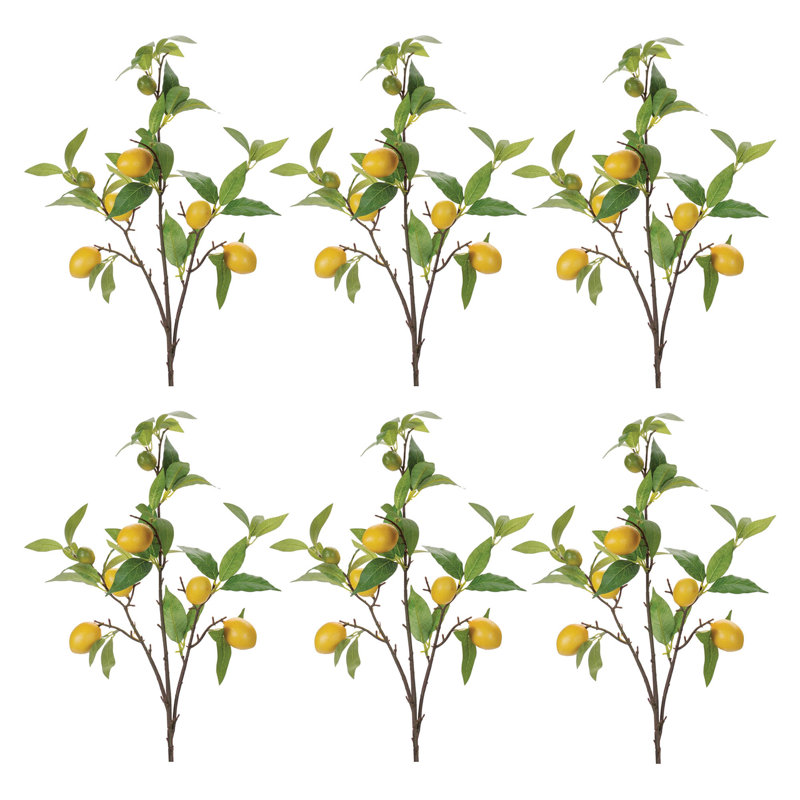 Branche de feuillage de citron