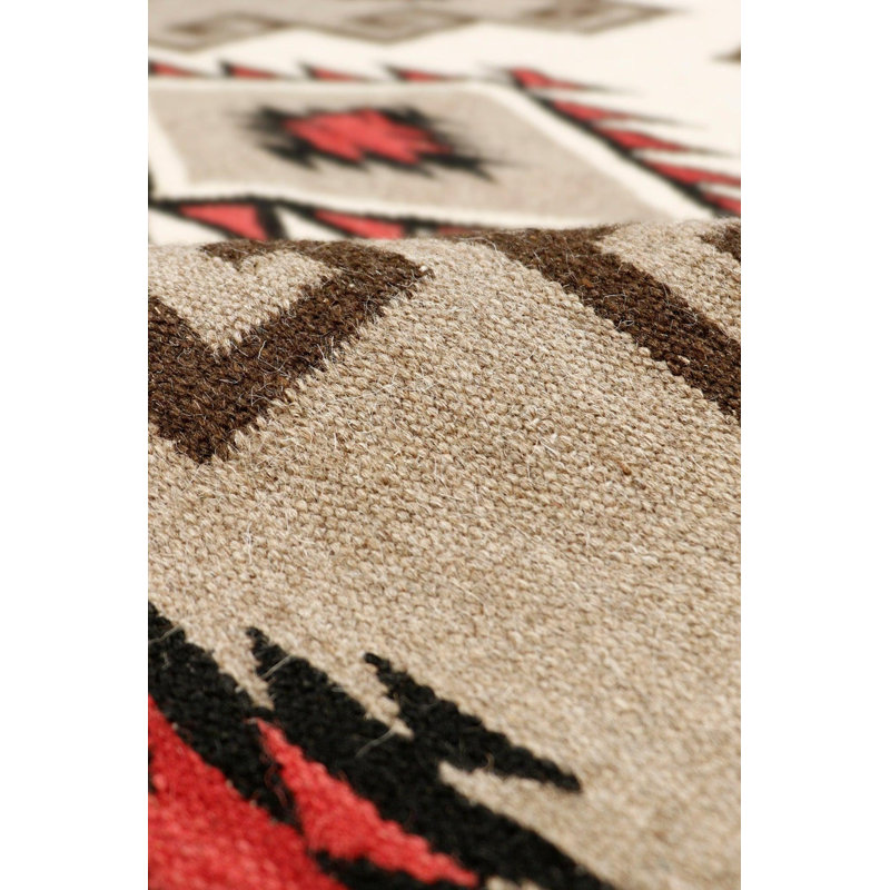 Oriental Area Rug