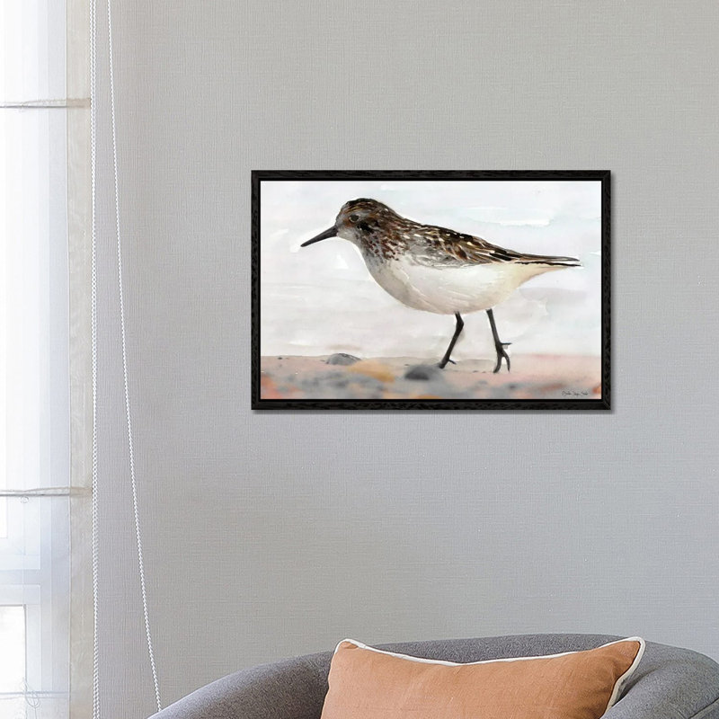 Sandpiper II by Stellar Design Studio - Painting on Canvas, Black Floater Frame, 66.04 cm H x 45.72 cm W