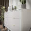 Aniyha Metal Rectangle Storage Unit Accent Chest-1076380666