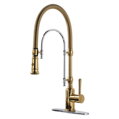 Pull Out Gooseneck High-Arc Kitchen Faucet