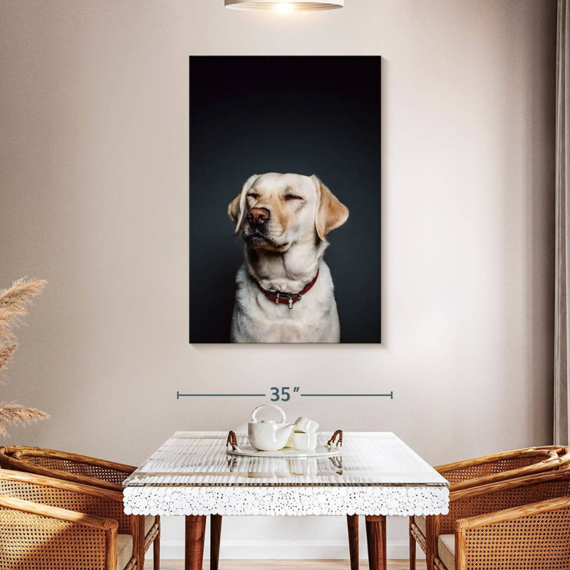 Brampt loufoque le Labrador, H 48 po x l 32 po