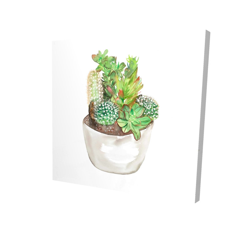 Assortiment de cactus | Art floral et botanique pour la maison