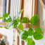 Harbour Housewares - Floating Picture Ledge Wall Shelf-79460146-79460147
