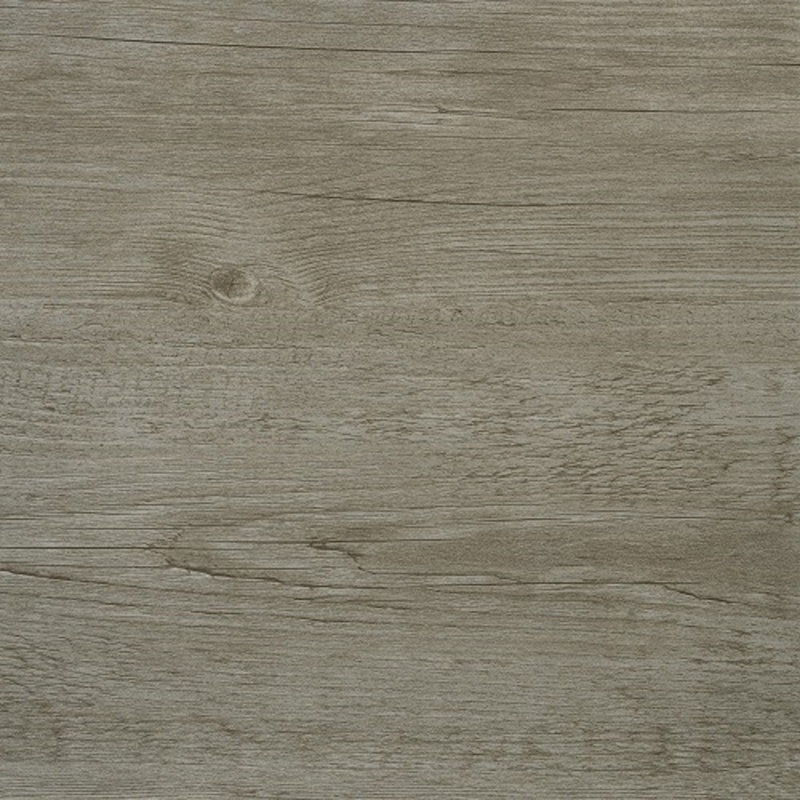 Miryam 30.5cm X 30.5cm Vinyl Field Tile in Grey