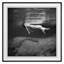 Floating 1 Print by Grand Archives-1070496099-1070496098
