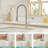Purifier Drinking Water Faucet In Brushed Nickel - Pull Down Filter Kitchen For Sinks With Feature And Sink