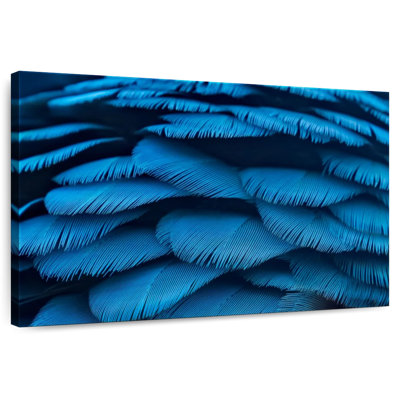 Crowle Blue Macaw Feathers
