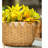 Whaleyville Pot Planter-827271330