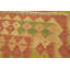 Tapis intérieur en laine 3 pi 2 po x 4 pi 10 po one-of-kind à la main noué la new age Elland