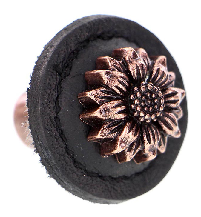 Poignée champignon 1 1/4 po Carlotta, Noir, Cuivre antique