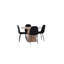 Boriana 4 - Person Dining Set