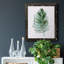 Sage Frond I - cadre photo, impression sur toile-61317276-61317273