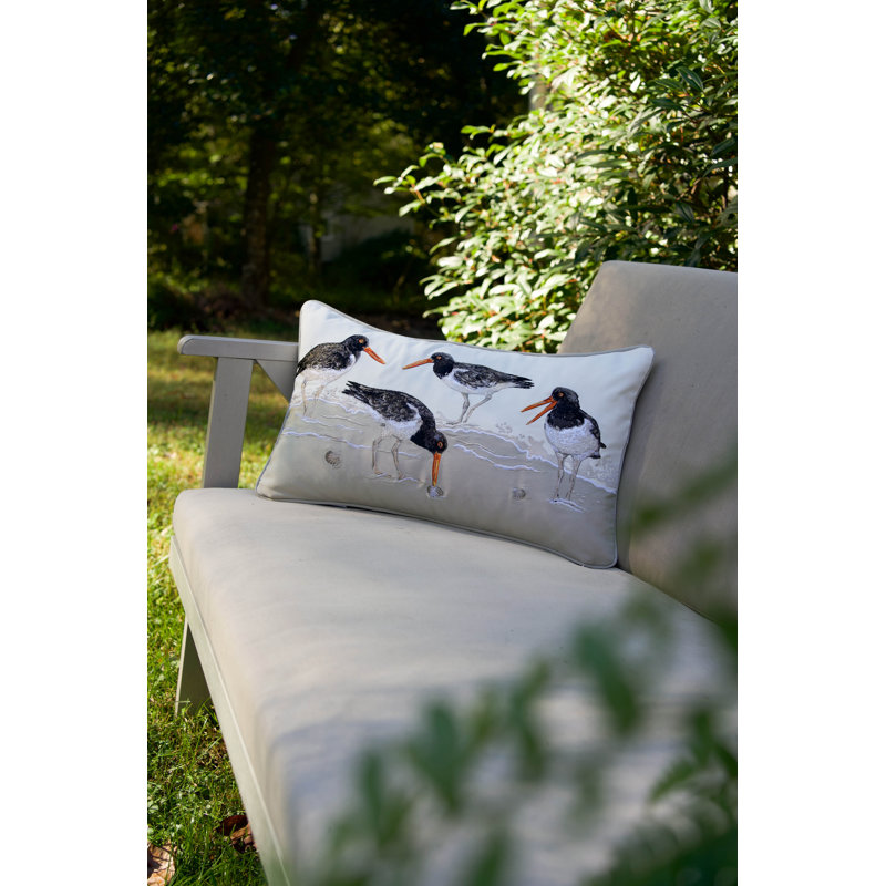 Coussin Oystercatcher