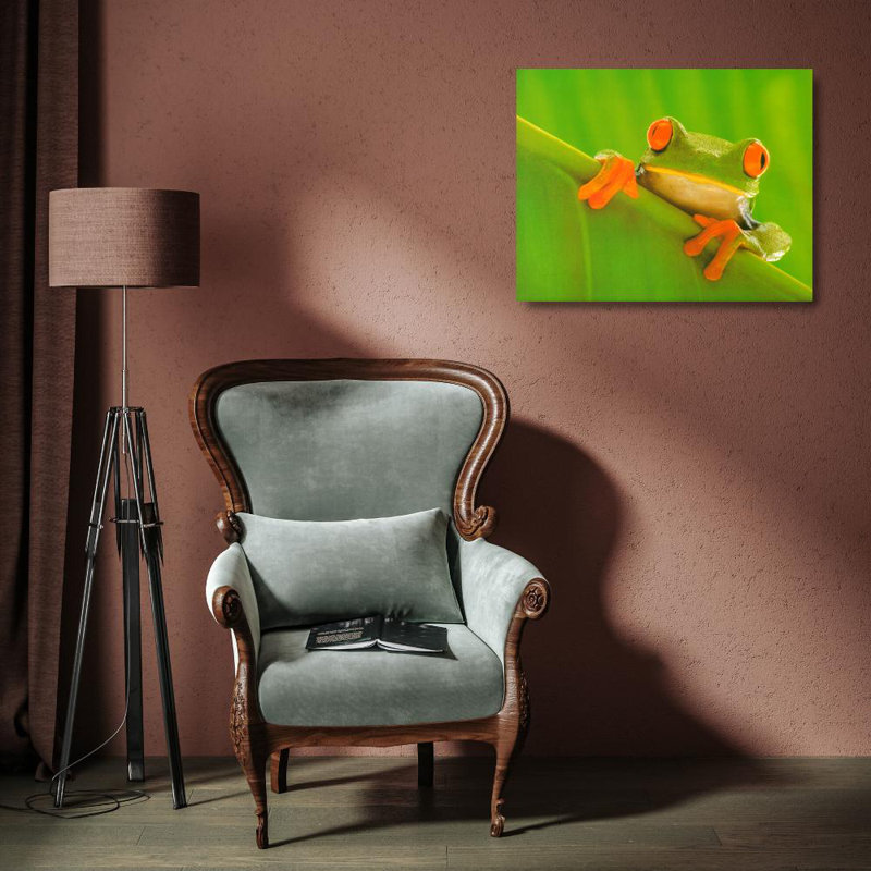Grenouille aux yeux rouges, H 14 po x l 18 po