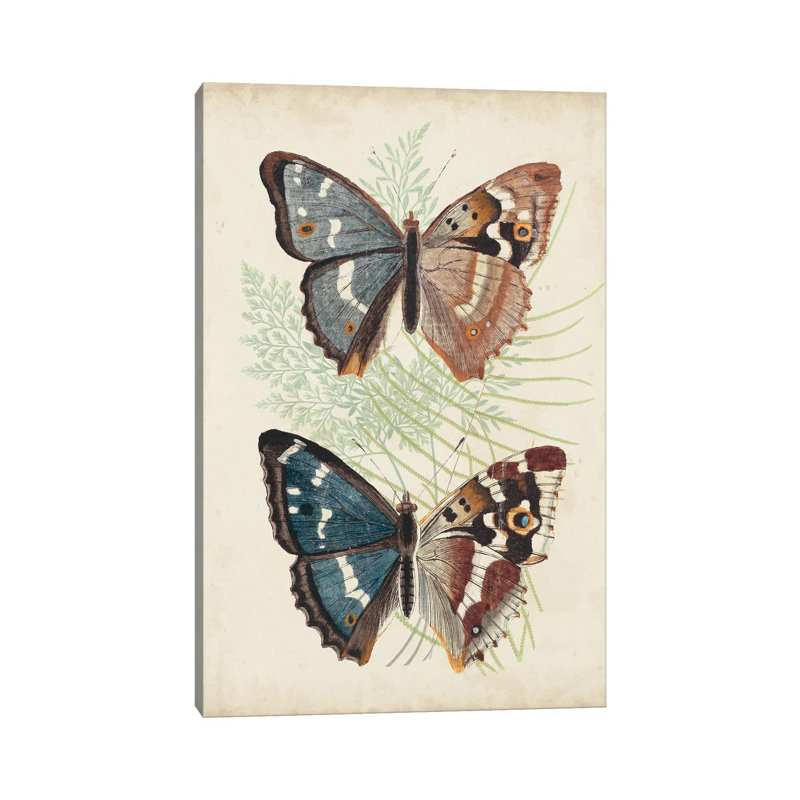 Butterflies And Ferns IV - Wrapped Canvas Print, 30.48 cm H x 45.72 cm W