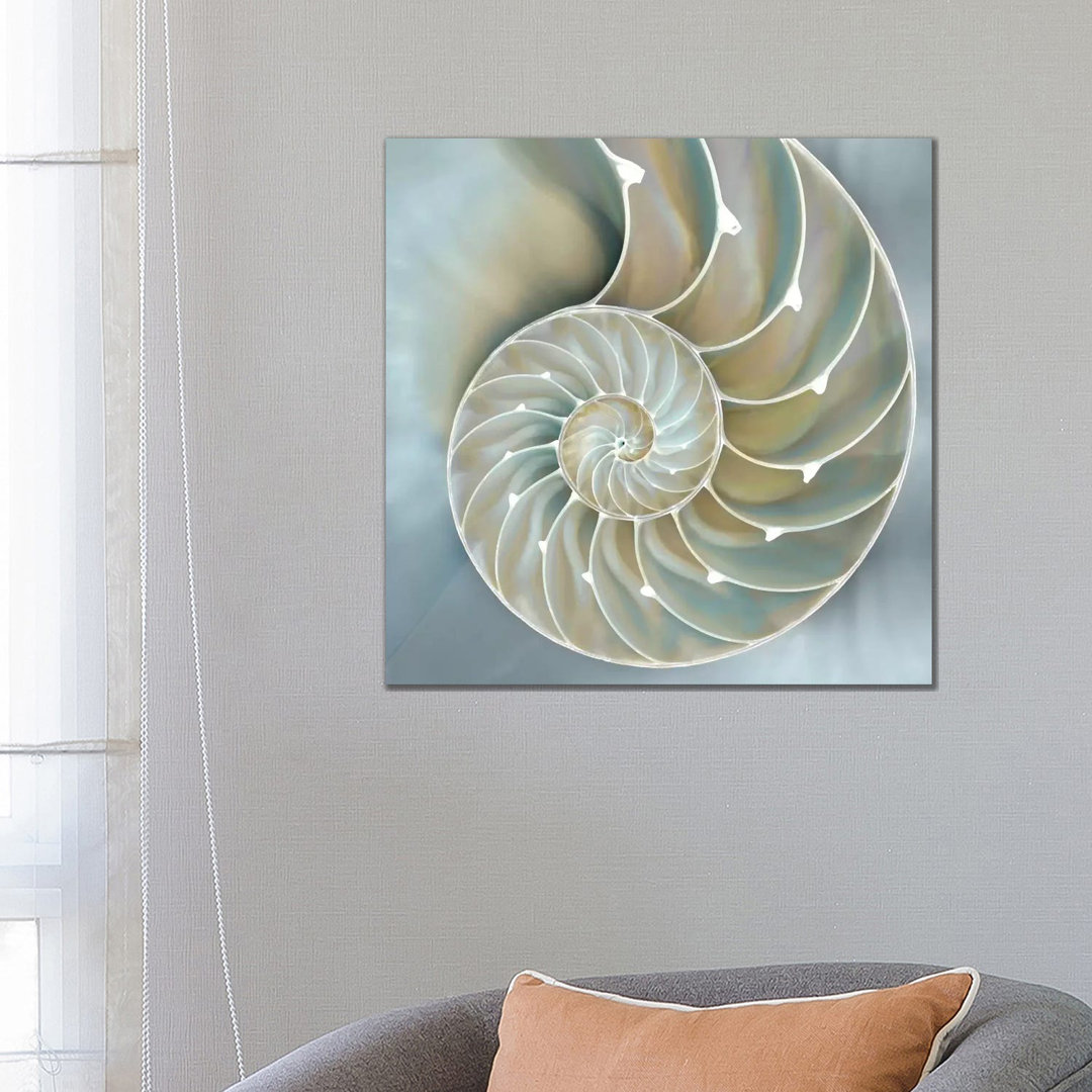 Leinwandbild Nautilus In Blue II von Caroline Kelly