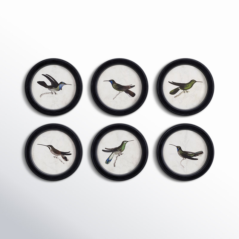 Saltillo Hummingbird - Ensemble de 6 reproductions de cadres photo