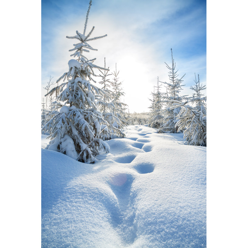 Winter Landscape - Wrapped Canvas Print, 46cm H x 30cm W x 3.8cm D