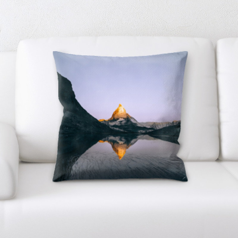 Coussin décoratif