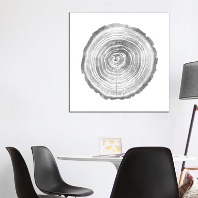 Timber Silver II by Danielle Carson - Wrapped Canvas Painting