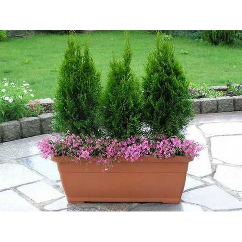 Person Planter Box, Terracotta