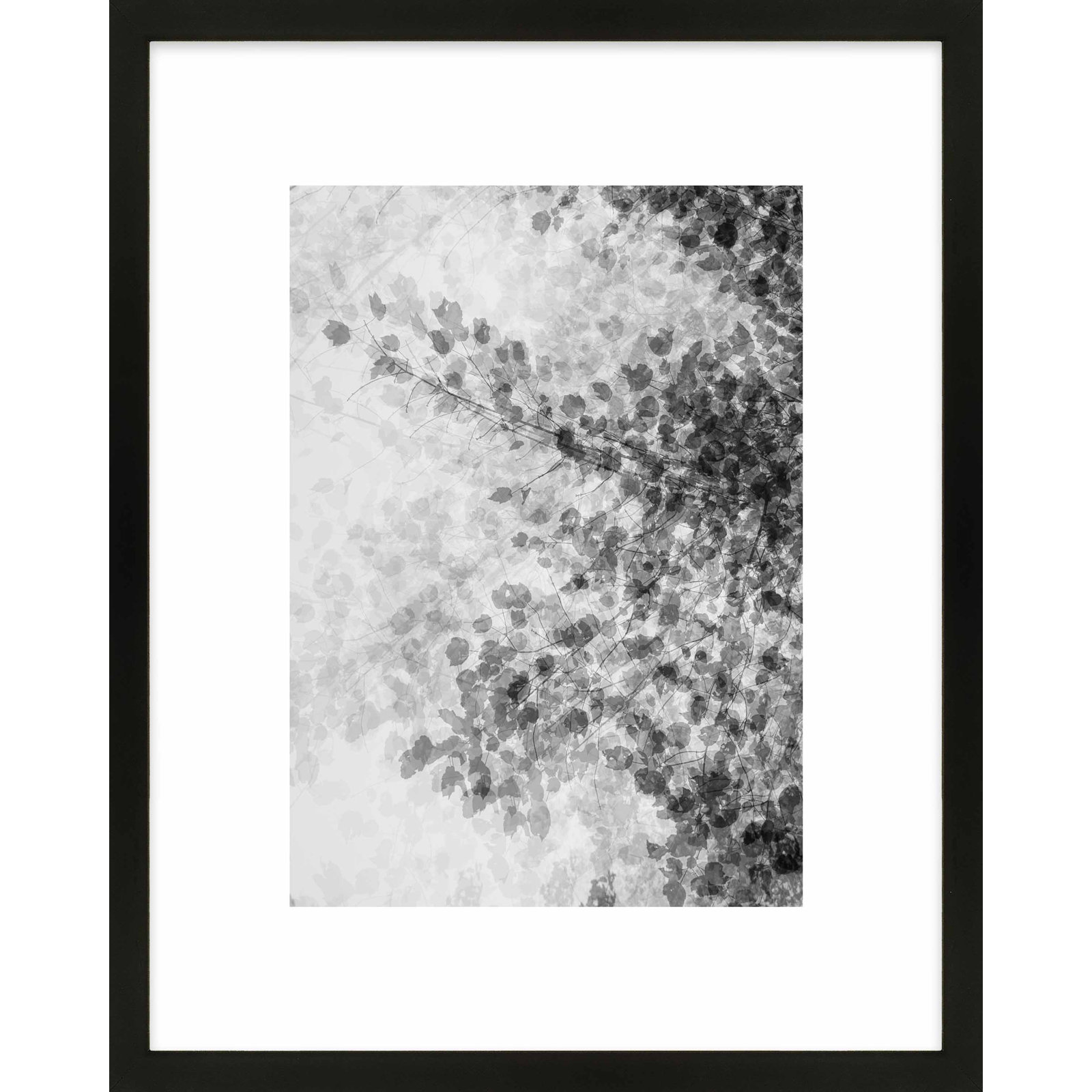 Pattern And Shadow by Laura Zimmerman - Framed Wall Art, 20" H x 16" W, Black