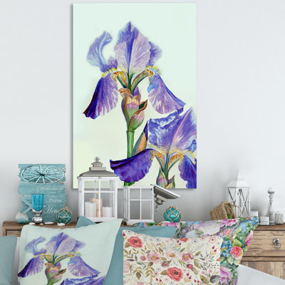 Blue And Purple Iris In Summer II - Traditional Canvas Wall Decor