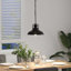 Annlynn 1 - Light Black Pendant