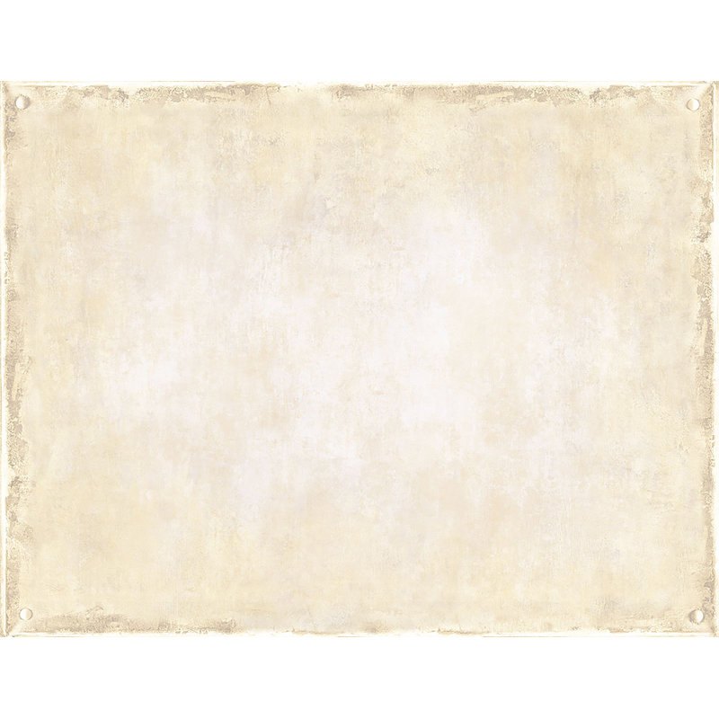 Rouleau de papier peint L 27 pi x l 27 po Dorcheer, Doré / Gris anthracite