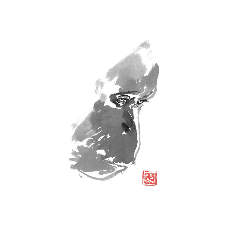 Sad Orangutan by Péchane - Print on Canvas, 66.04 cm H x 45.72 cm W x 1.91 cm D, Wrapped Canvas