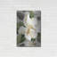 Magnolia Blossoms II par House Fenway-137870303