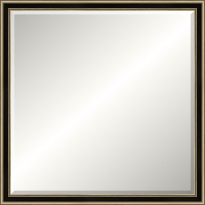 Antique Silver Old World Mirror