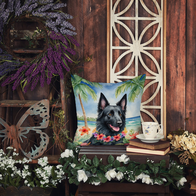 Coussin décoratif intérieur / extérieur Autre / Sans motif, H 14 po x l 14 po