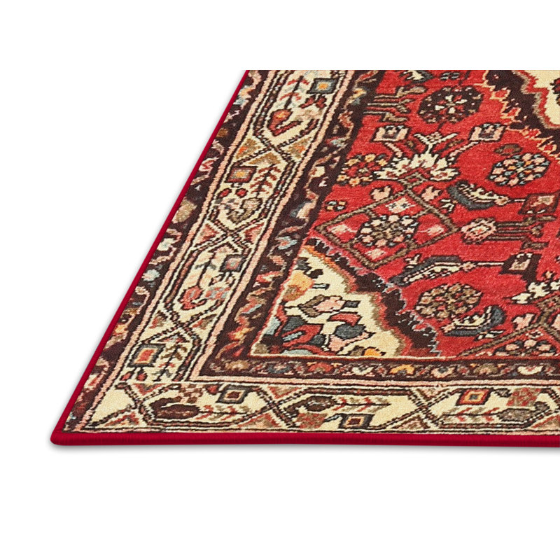 Hamaad Oriental Indoor Rug, Rectangle 3' x 5'