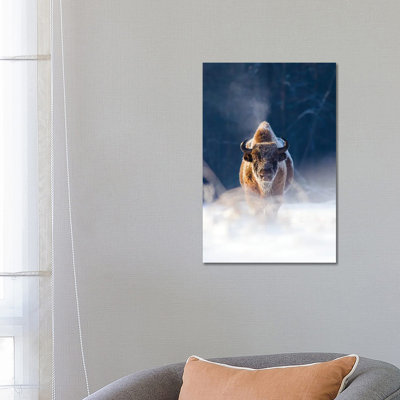 Frozen King 1 Piece Wrapped Canvas Wall Art