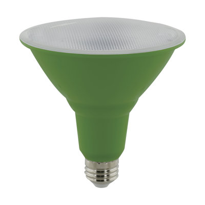 16 Watt Green LED Bulb