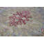 Wool Oriental Area Rug