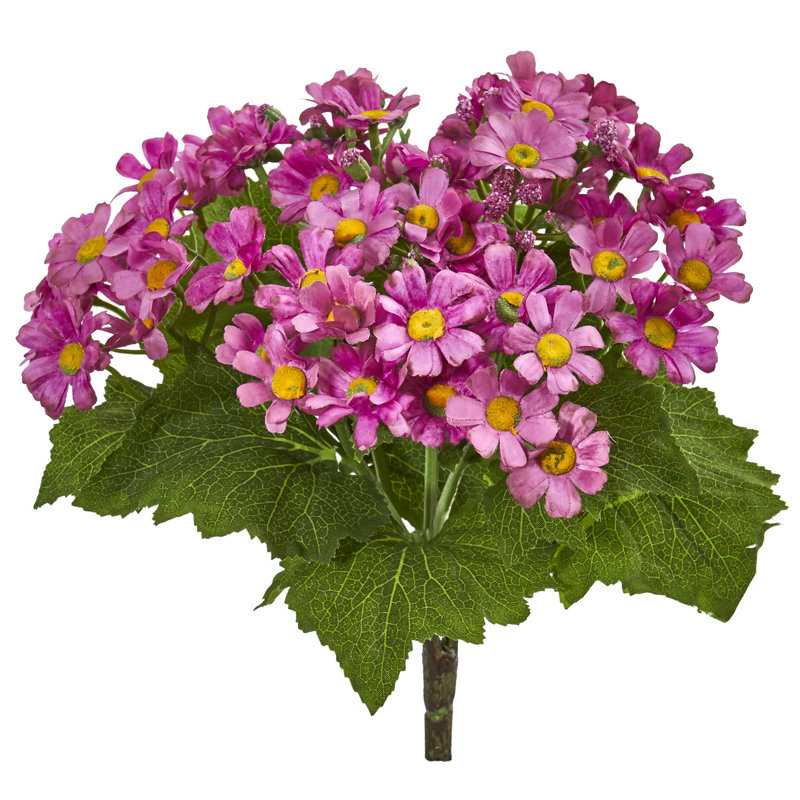 Daisy Arrangement, Mauve