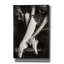 «Art Of Dance» par PhotoINC Studio-1442812057