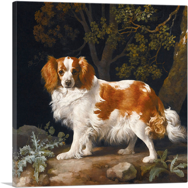 «King Charles Spaniel» par George Stubbs, reproduction d'art sur toile tendue, H 18 po x l 18 po x P 0,75 po