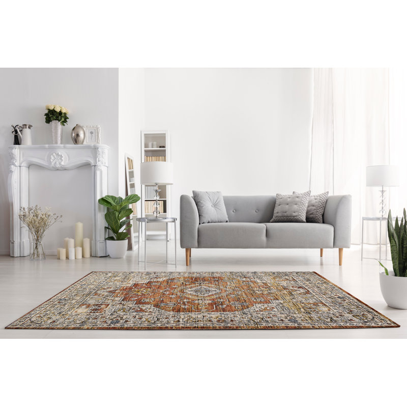 Aliyya Oriental Area Rug, Rectangle 120 x 170cm