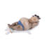 Animals Figurines & Sculptures