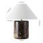 Kathariana Standard Table Lamp