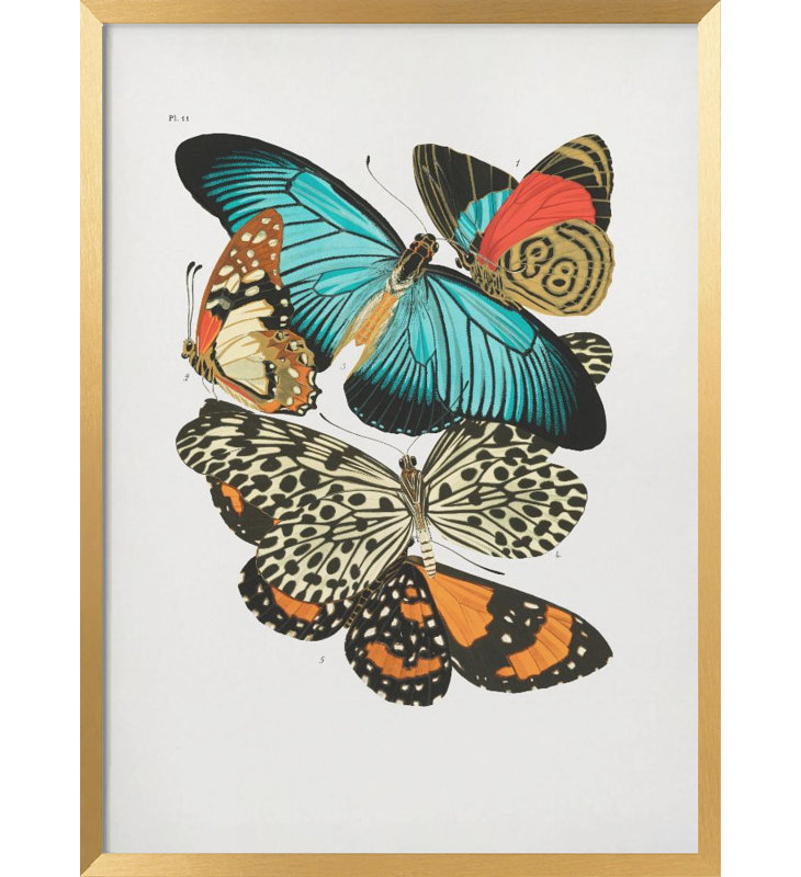 Nature Inspired " 1" Framed Print Wall Art, 30" H x 20" W