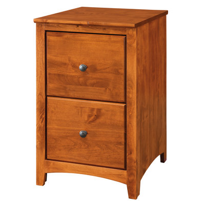 Malani 18'' Wide 2 -Drawer Solid Wood File Cabinet