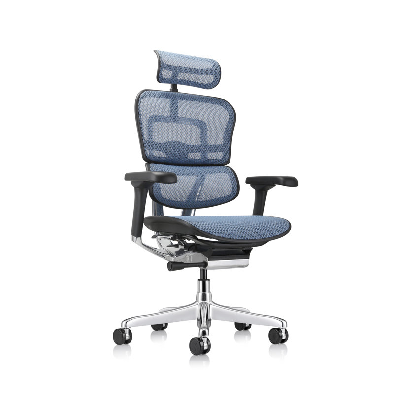 Chaise de travail ergonomique en filet Ergohuman, Bleu ‑ génération 2